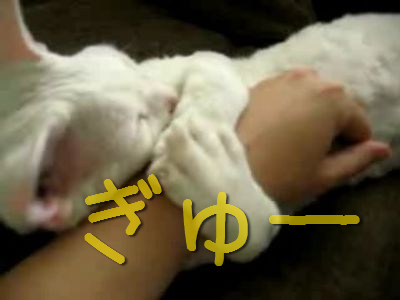 ���塼�äȤ���ǭ