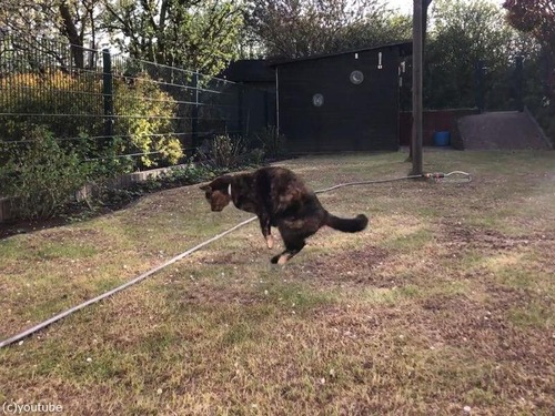 �ۡ��������ˤʤ�ǭ03