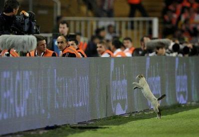 ���å����繥��ǭ01