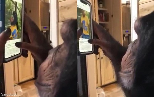 ���ޥۤ�Ȥ����ʤ�����ѥ󥸡�01