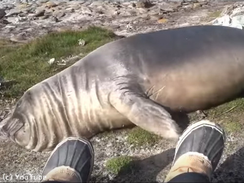 �����Υ��������饷��­�Τˤ����򤫤�������04