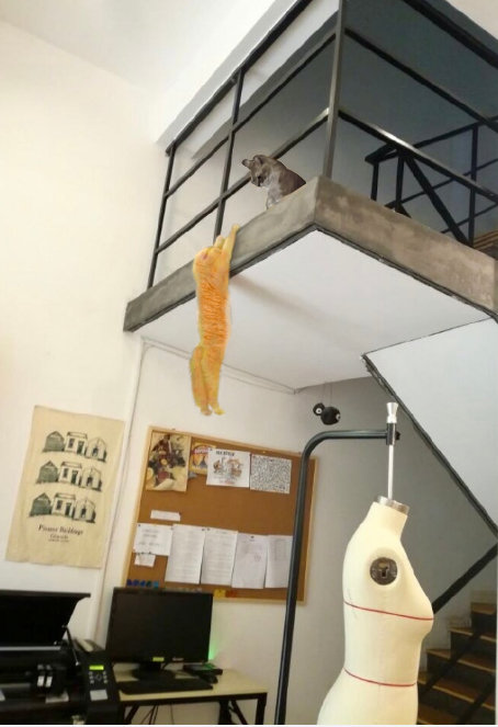 猫のフォトショップバトル08