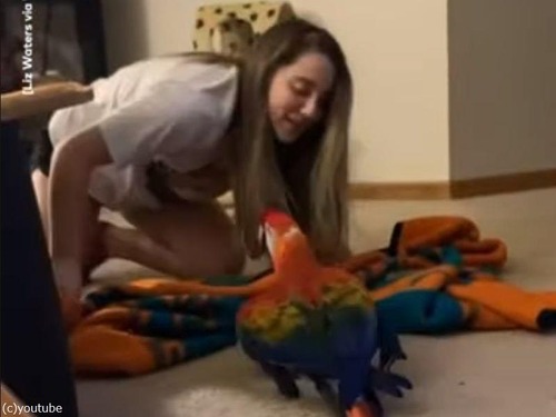 少女が消え去る手品を披露したら…インコが奇声を上げて驚く