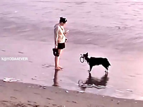 犬「これ投げて!」ビーチで知らない人たちにおねだりする