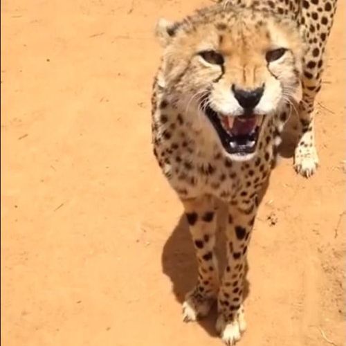 ����������ǭ�ʤ���04