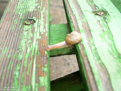 のびのびーーっ04