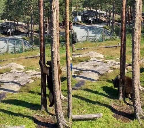 ���ޤ����Ф�ǽ��03