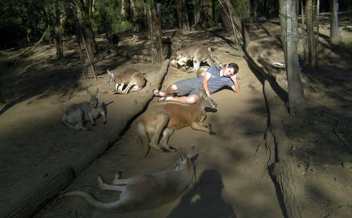 そのころオーストラリアでは19