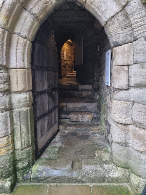 LINE_ALBUM_���ʡ��֥���롡2022.4.12_220413_172