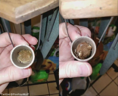 �ϥꥱ���󤬶�Ť��Ƥ���02