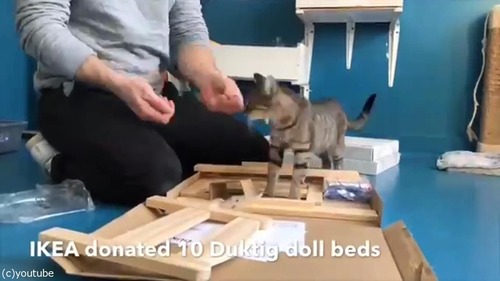 ǭ�˥ԥå���Υ٥åɤ���դ������01
