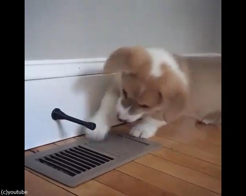 �֤���󥳡��������ʤ����ɥ����ȥåѡ���̴��02