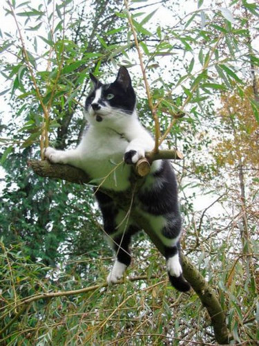 13�ͤɤ������餤���Ρ�