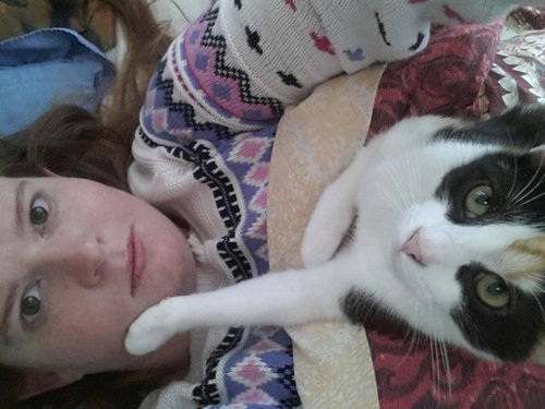 毎朝起こしてくれる犬や猫10