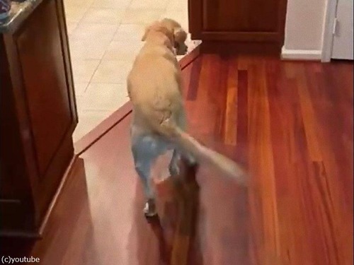 �ե�����󥰤����ʸ�03