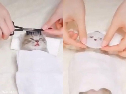 ��ǭ�˥���02