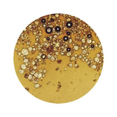 �繥���ʰ���ʪ�������Ǹ����03