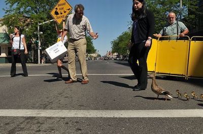 �ޥ���οƻ�10