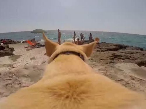 ���������ʸ�01