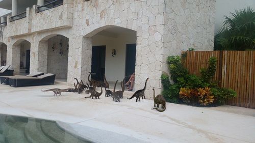 ミニサイズのブロントサウルス05