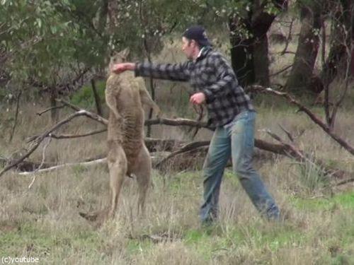 オーストラリアの落書き03