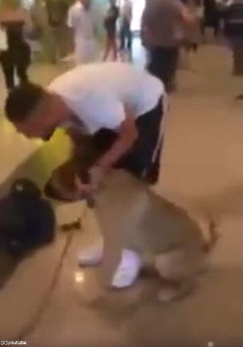 飼い主と3年ぶりに再会した犬05