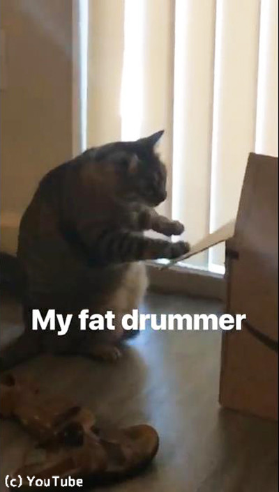 �����βİ����ɥ�ޡ�03