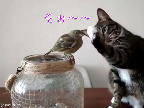 Ļ��ͥ���������ǭ00