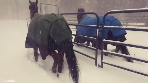 ���������03