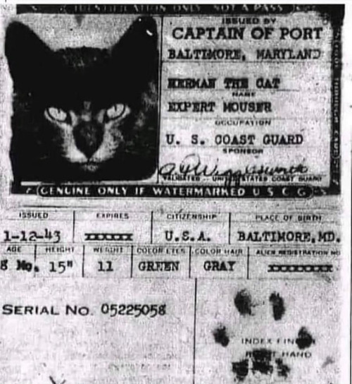 ���˾褻���Ƥ���ǭ�Υѥ��ݡ���01