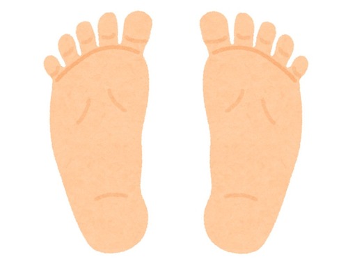 「朝1番に起きたら…人間の『あしあと』があるんだけど!?」驚きの正体が判明する