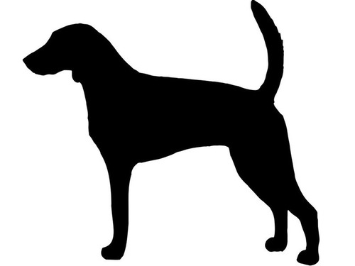 耳の長い犬がギネス記録更新
