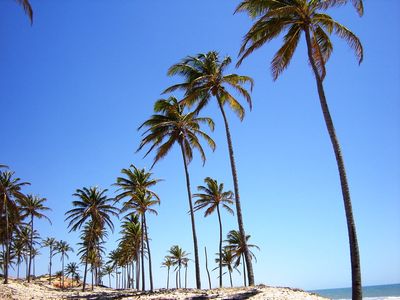 海外旅行の旅行保険請求TOP
