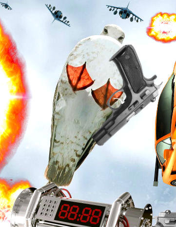 ガラスの屋根に止まるカモメ03