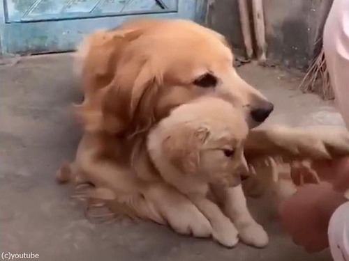 ̼��Ů������ѥѸ�03