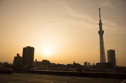 �ǥ������ǻ���