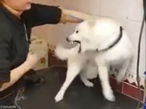 60�äǼƸ��ȿ�����ۤ��ȥ�ޡ�01