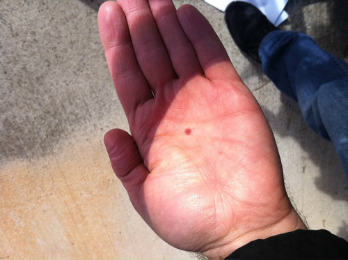 金星の太陽通過観測のお知らせ03