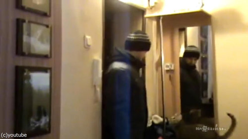 背中に乗ってくる猫08