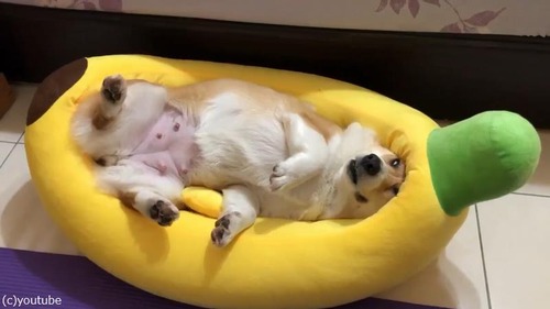 ���������ᥤ�ɤ��ʡ����������δ����ʥ٥å�01