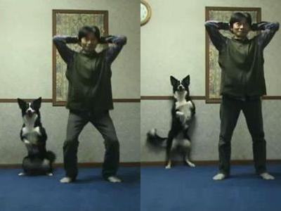 ヒンズースクワットをする犬と人