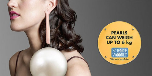 サイエンスワールド01