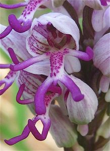 �ȥ���Υɥ�02