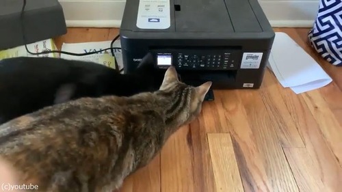 �ץ�󥿡��˶�̣�š���ǭ�����襤��01