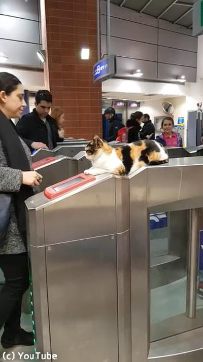 �����饨����ϲ�Ŵ�β����˥˥��03