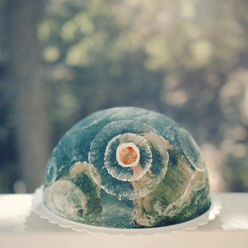 地球に隕石衝突ケーキ01