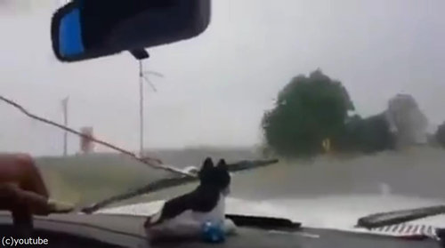 車のワイパーが壊れたとき…予想もしなかった解決策01