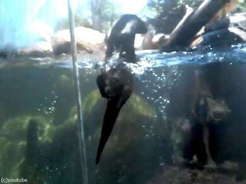 ���復�������ž01