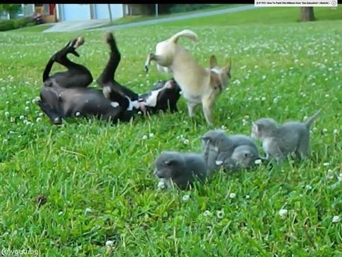 ͦ���ʥ���郎��ǭ����03