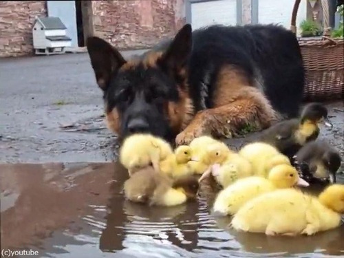 �ҥ�Ļ�򸫼�븤02